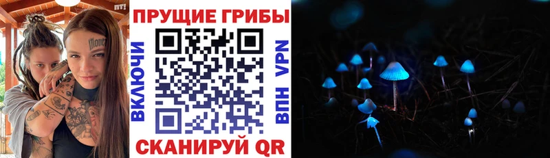 Галлюциногенные грибы Psilocybine cubensis  Белоозёрский 